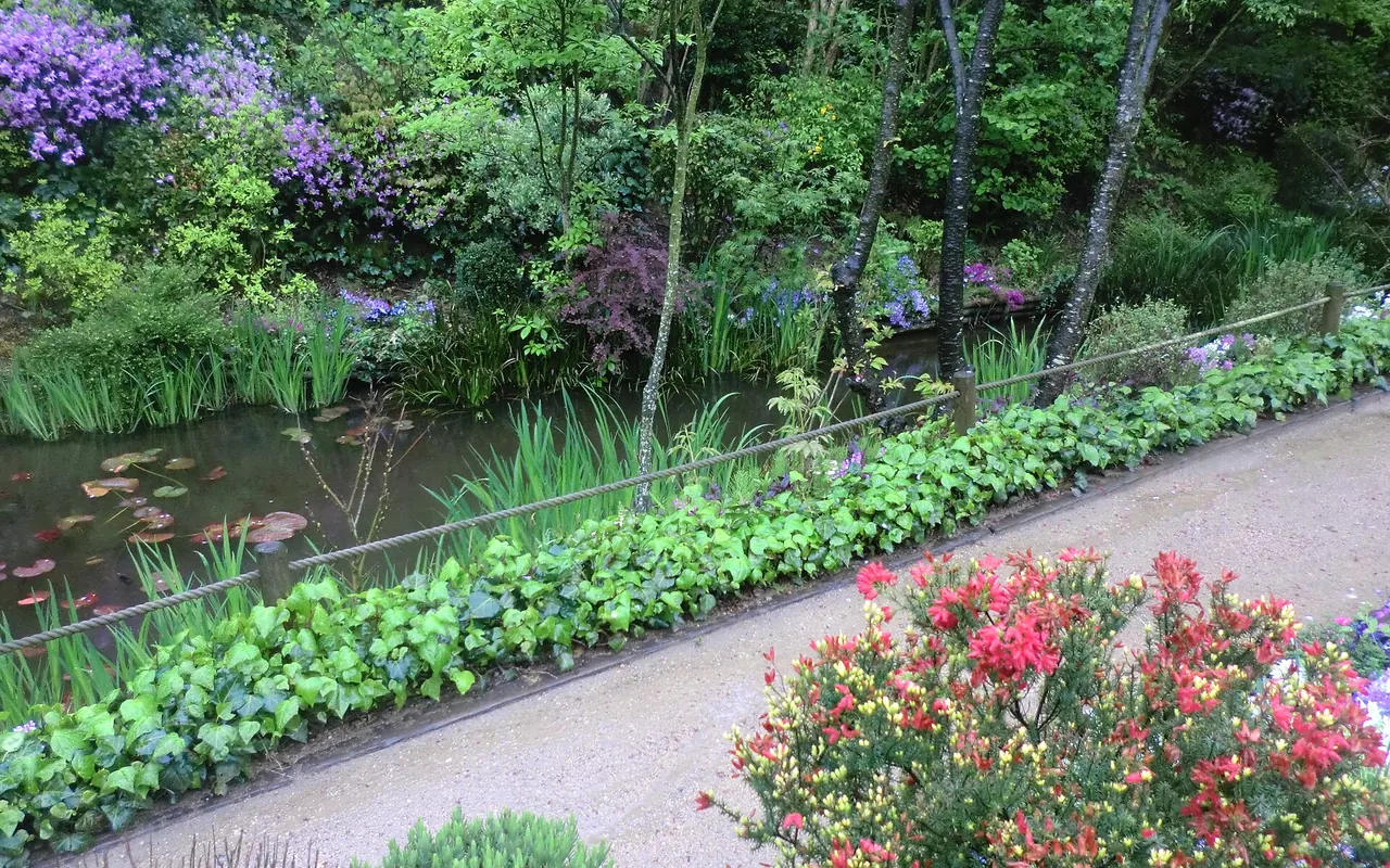 Schwertlilien, Wasserpflanzen und blühende Sträucher an einem Teich im Chichu Garden